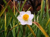 P1080035_800