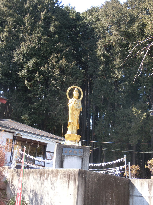 20180217_123247_CIMG7945