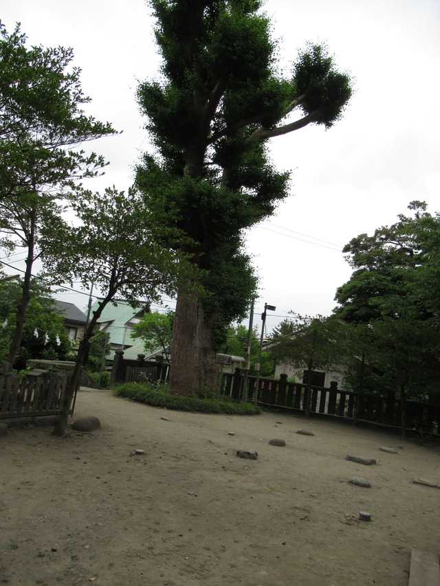 20180526150321_IMG_2121