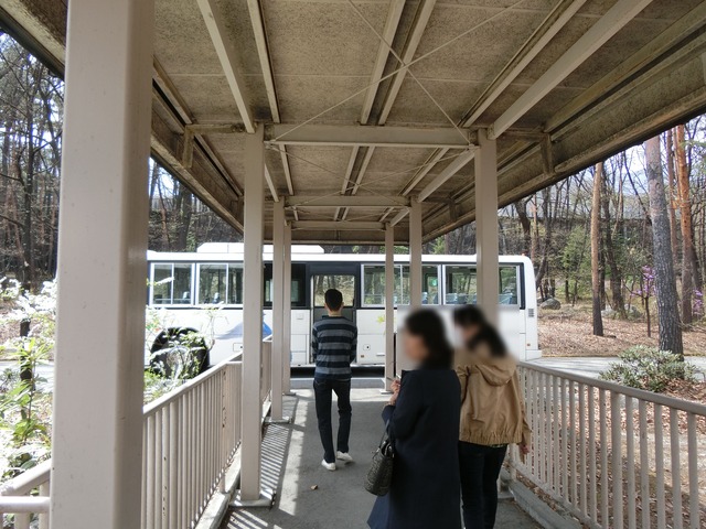 20180406_131753_CIMG8888