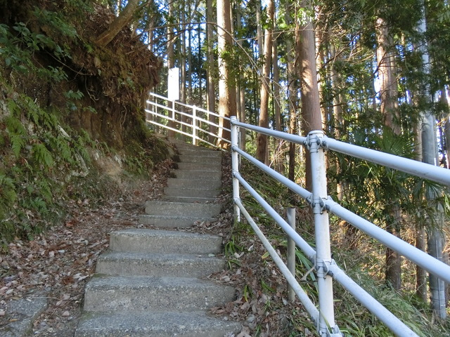 20180217_122613_CIMG7935