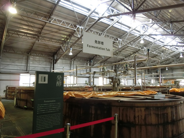 20180406_125730_CIMG8876