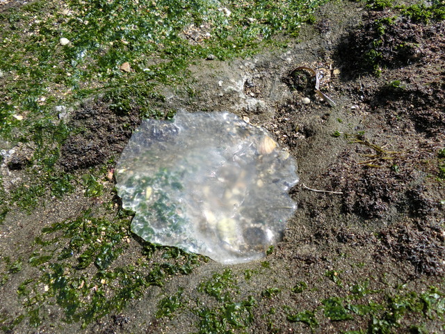 20180318_125828_CIMG8561