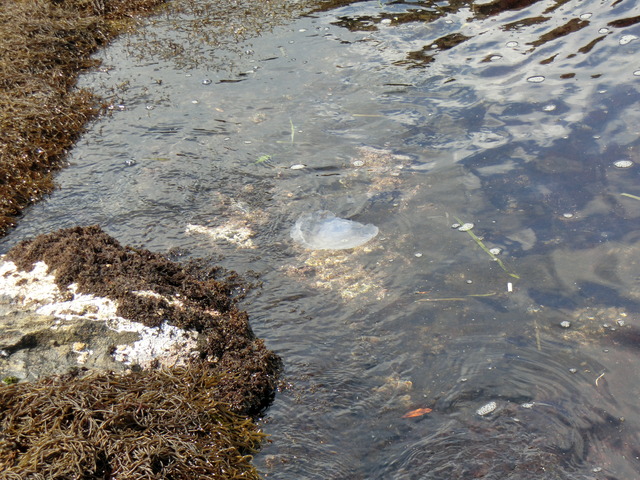 20180318_125220_CIMG8550