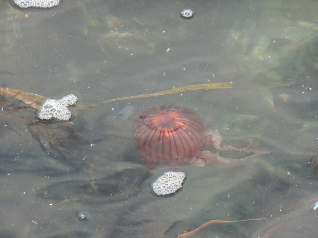 20180318_125409_CIMG8554