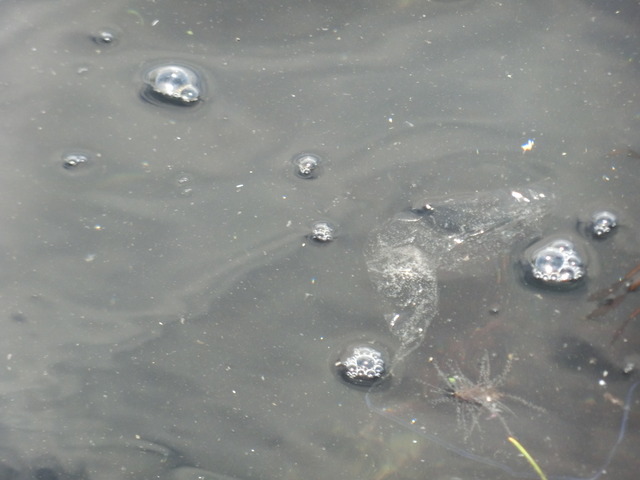 20180318_125507_CIMG8557