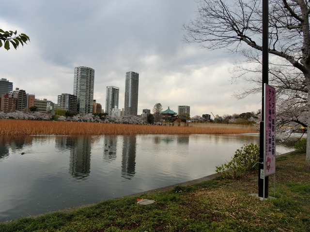 20190402_135028_CIMG7977