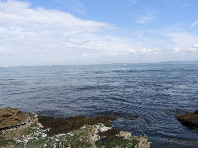 20180318_125113_CIMG8549