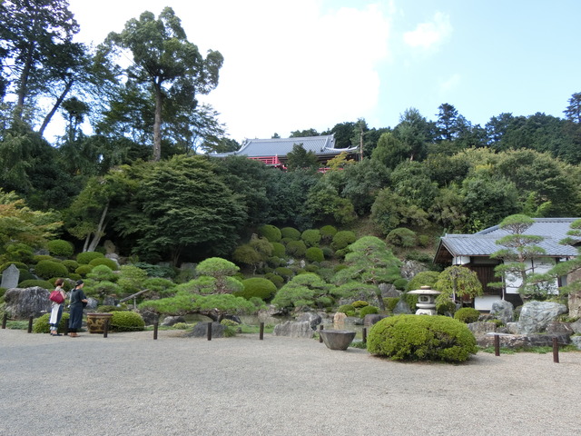 20170924_135428_CIMG5158