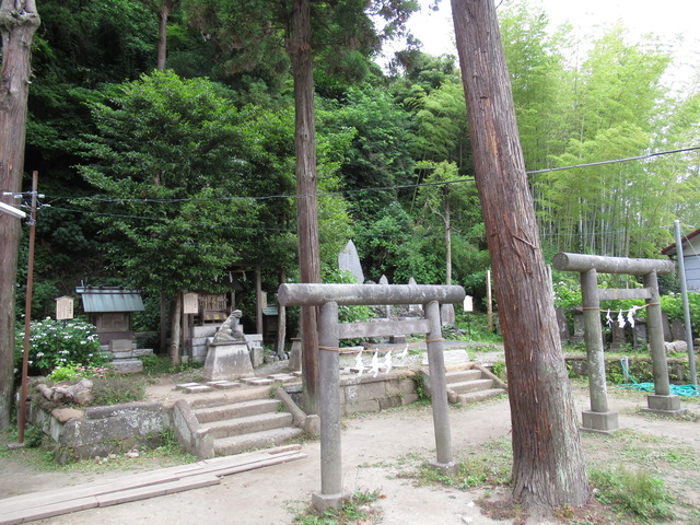 20180526150317_IMG_2120