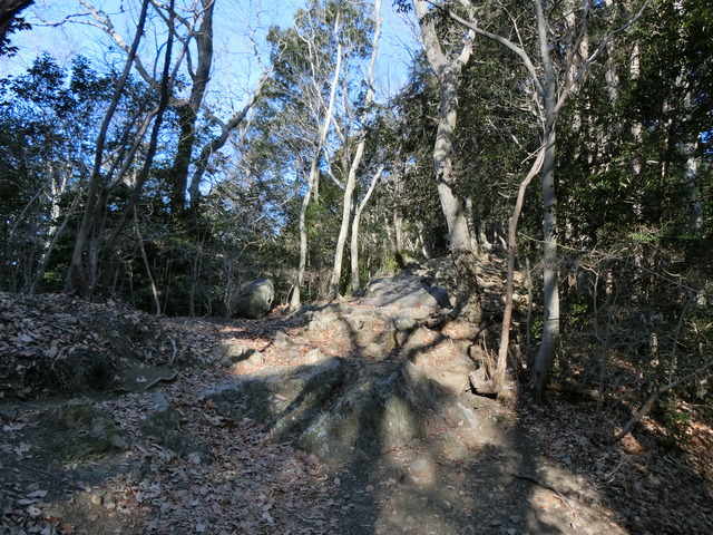 20190224_083045_CIMG6876