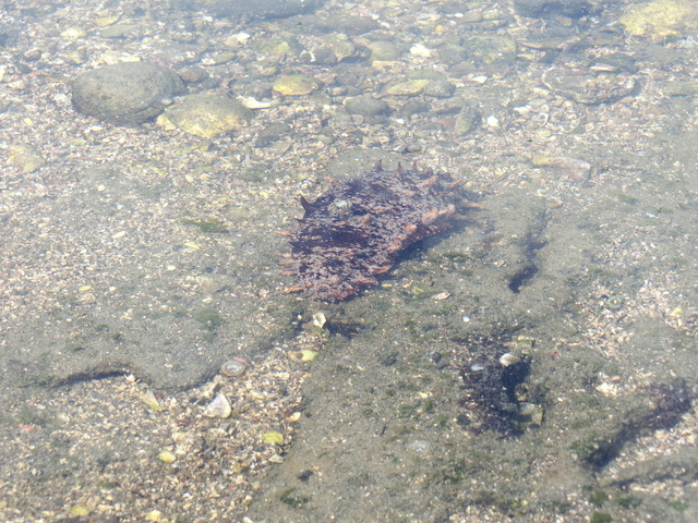 20180318_125759_CIMG8559