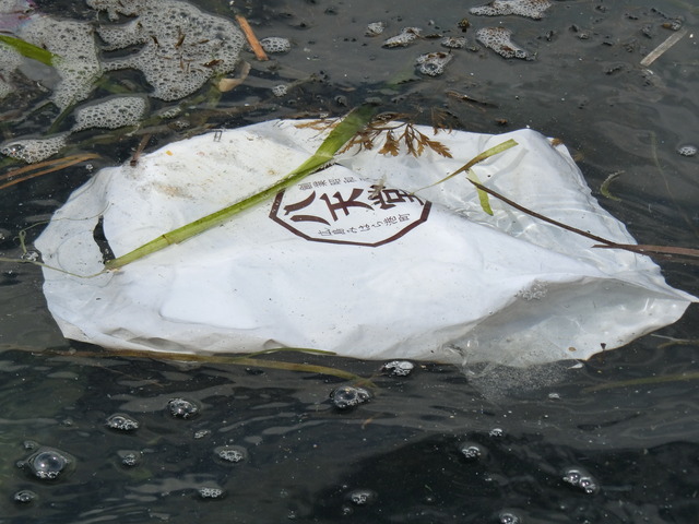 20180318_125445_CIMG8556