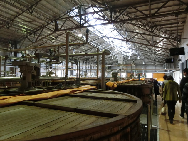 20180406_125355_CIMG8873