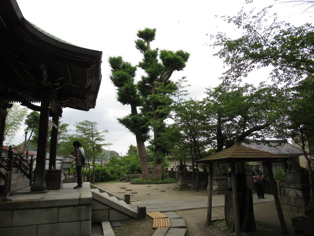 20180526150616_IMG_2127