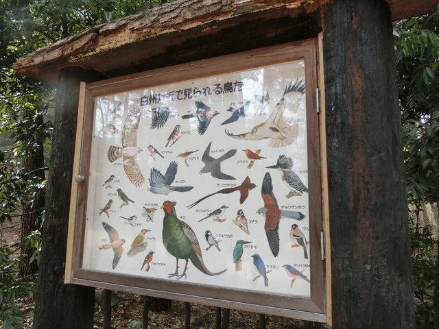 20180406_142406_CIMG8919