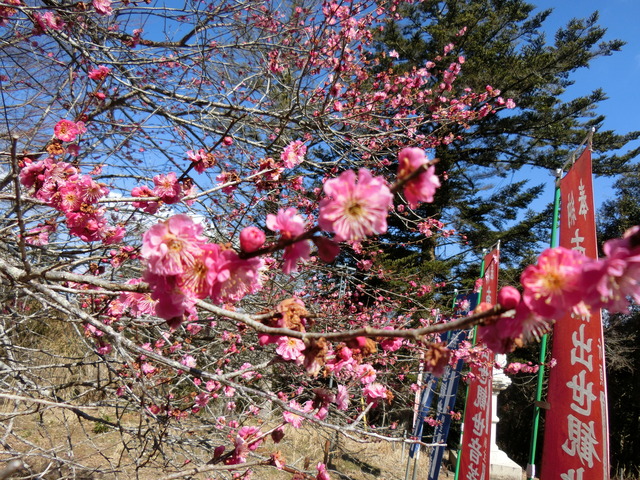 20180217_124300_CIMG7954