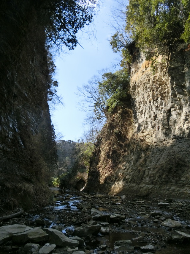 20180217_120412_CIMG7906