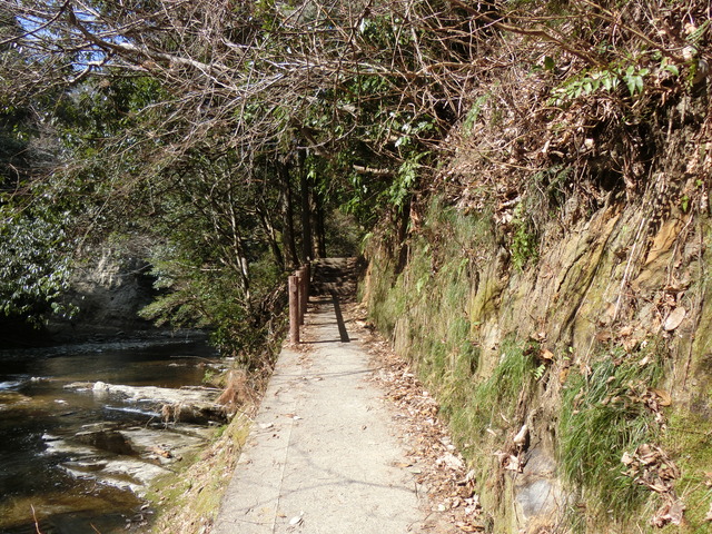 20180217_120800_CIMG7912