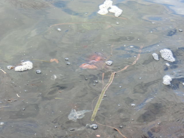 20180318_125534_CIMG8558