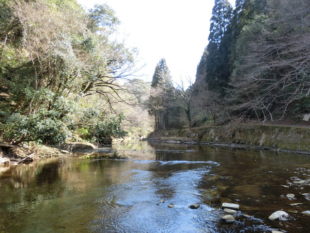 20180217_120733_CIMG7911