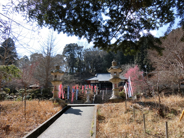 20180217_123157_CIMG7944