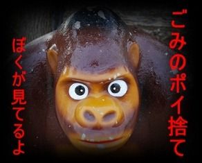 ゴリラ
