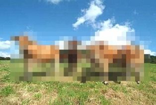 次回の交流会は・・・