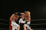 d5df8861.jpg