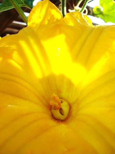 DSC04569