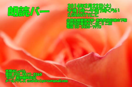 IMGP3646