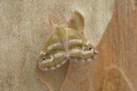P8250012