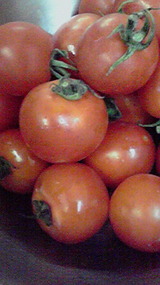 5d6c9080.jpg