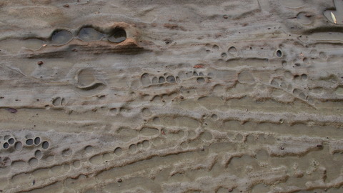P6257414