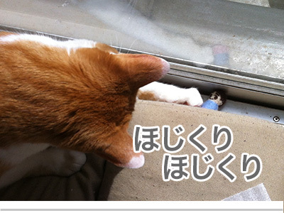 $【漫画】♂♂ゲイです、ほぼ夫婦です-8