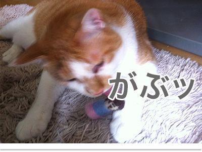 $【漫画】♂♂ゲイです、ほぼ夫婦です-9