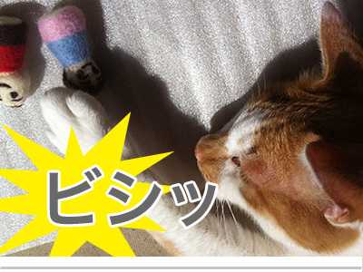 $【漫画】♂♂ゲイです、ほぼ夫婦です-7