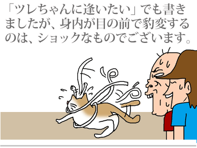 【漫画】♂♂ゲイです、ほぼ夫婦です-10