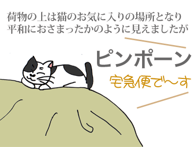 【漫画】♂♂ゲイです、ほぼ夫婦です-8