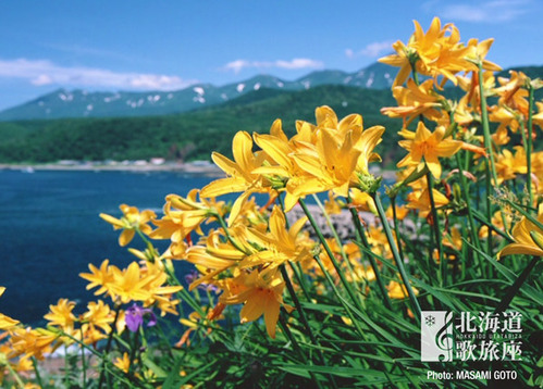 s_flowers