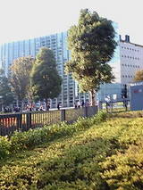 8e70ec23.jpg