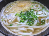 やま家0130かけうどん
