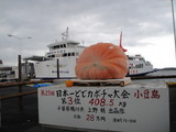 どでかぼちゃ1009