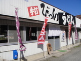 松井うどん1118