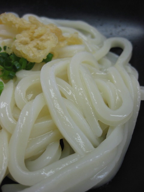 おおみね0526醤油うどん(冷)その2