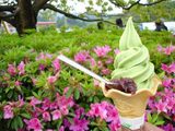よもぎソフト