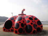 直島0223赤かぼちゃ10:30
