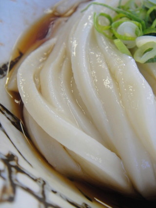 松井うどん1118ぶっかけ冷