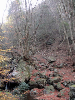 琴南の山1207