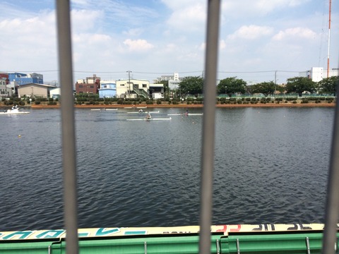 01ab3d38b9e7370c38f566e082319c242584ece38d